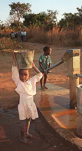 Malawi Africa Water Hole