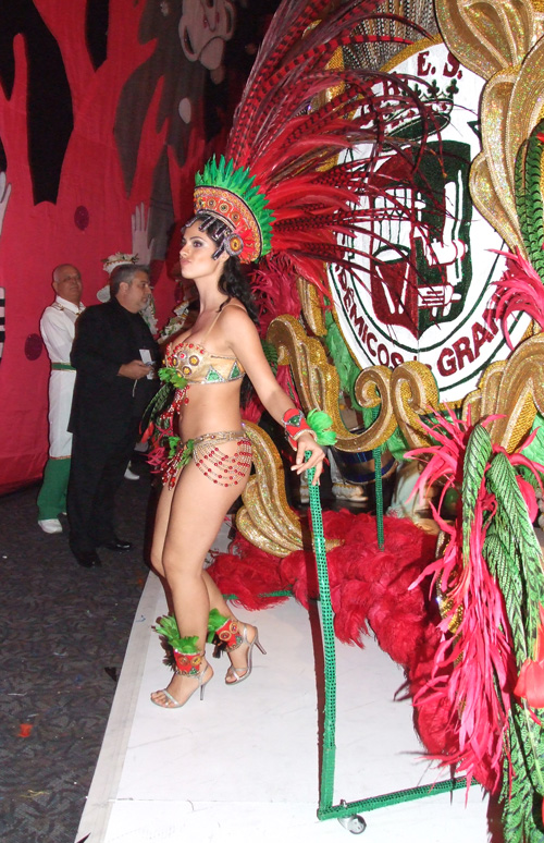 Brazilian Carnival Ball