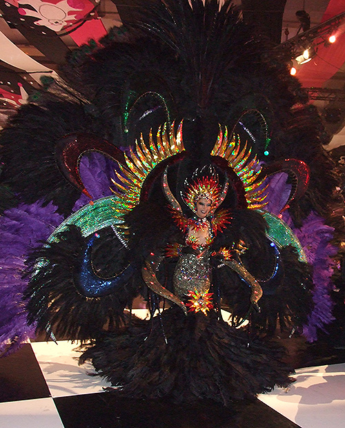 Brazilian Carnival Ball
