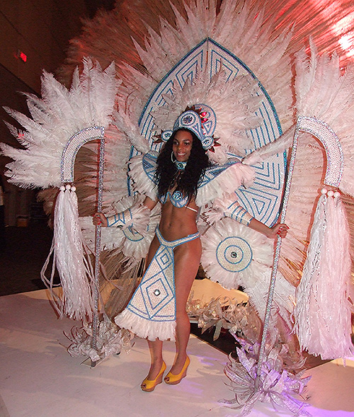 Brazilian Carnival Ball