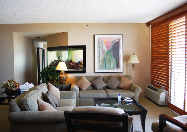 California Spa Contest