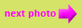 next photo